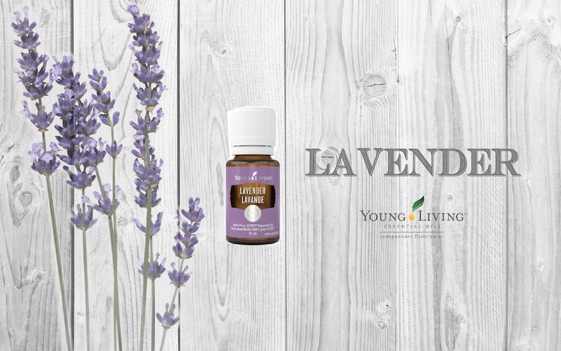 Lavender お母さんに包まれているような優しさ溢れるラベンダー Young Living Ukalog Web