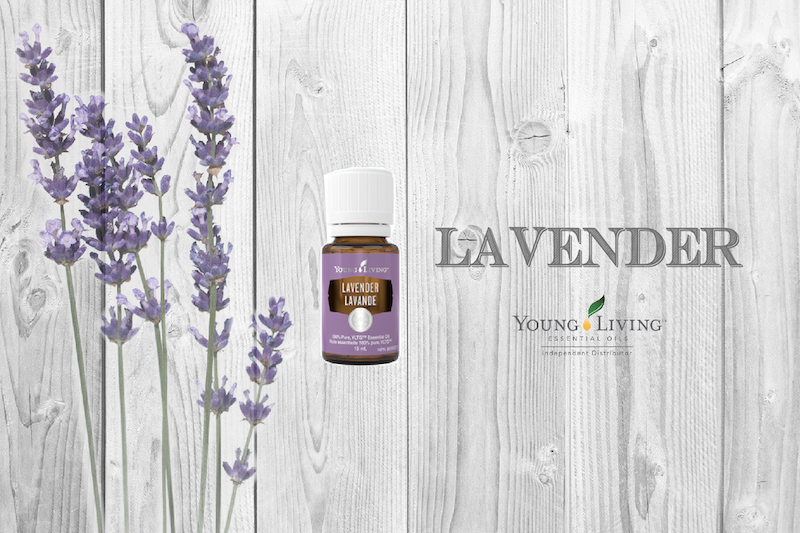 Lavender お母さんに包まれているような優しさ溢れるラベンダー Young Living Ukalog Web